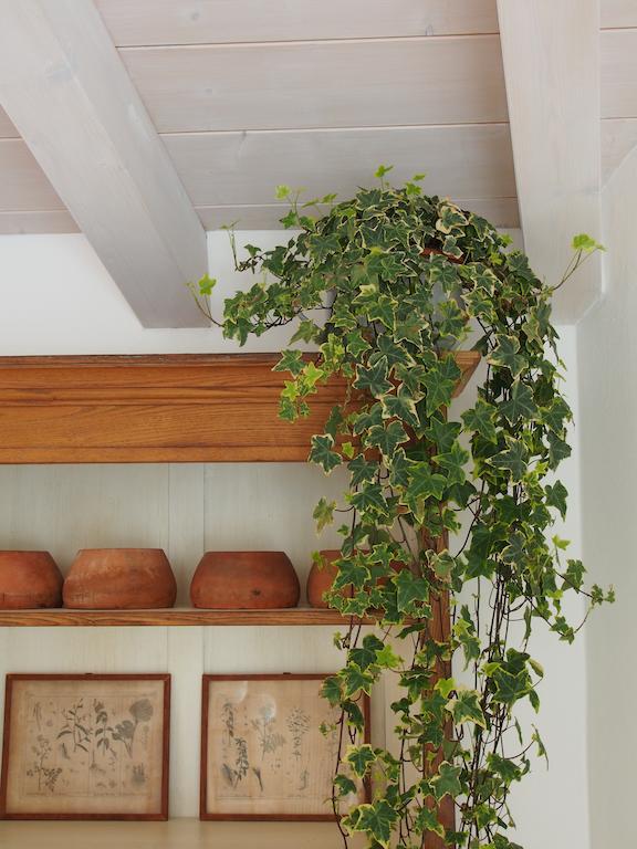 Casa Del Pittore Rovereto  Ngoại thất bức ảnh